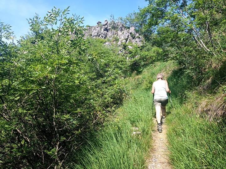 Foto: Wolfgang Lauschensky / Wandertour / Monte Censo / Beginn der Gipfelfelsen / 08.07.2025 16:24:02