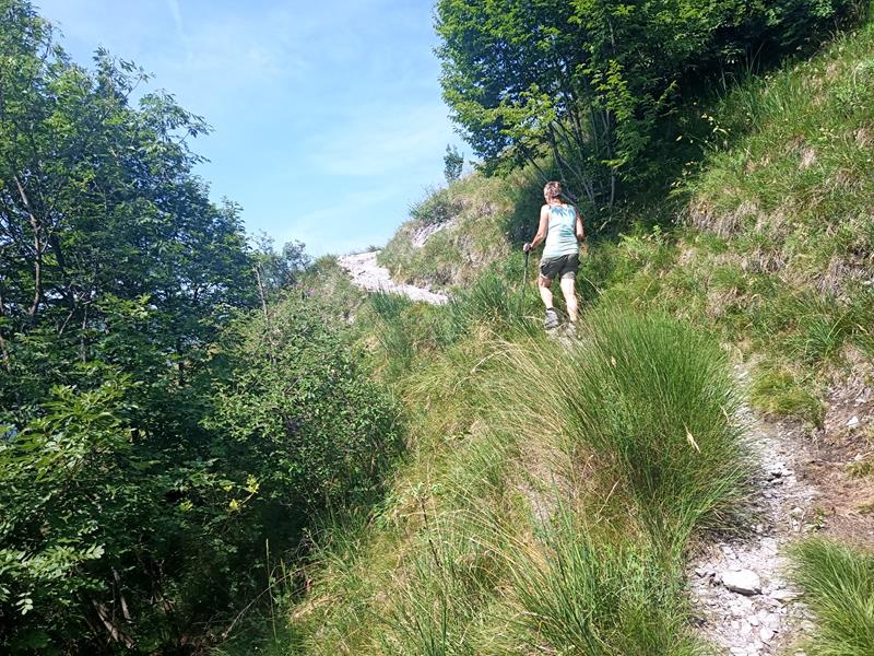 Foto: Wolfgang Lauschensky / Wandertour / Monte Censo / durchgehend unproblematischer Steig / 08.07.2025 16:23:53