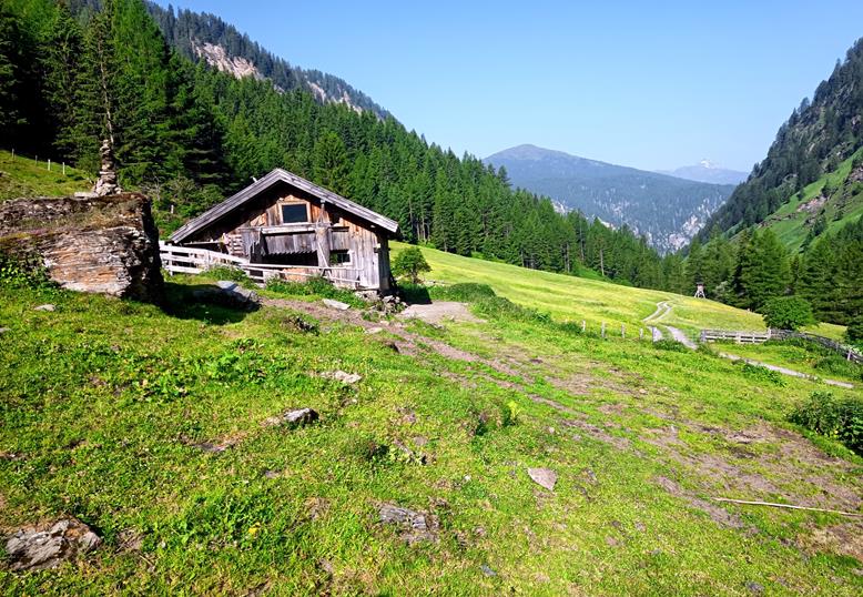 Foto: Wolfgang Lauschensky / Wandertour / Kuhberg 1992m / Abzweig Weg 531 zur Europahütte / 08.07.2025 20:37:00