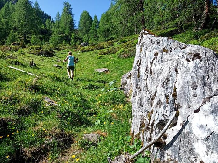 Foto: Wolfgang Lauschensky / Wandertour / Kuhberg 1992m / Abflachung und almartige Ausweitung / 08.07.2025 20:36:42