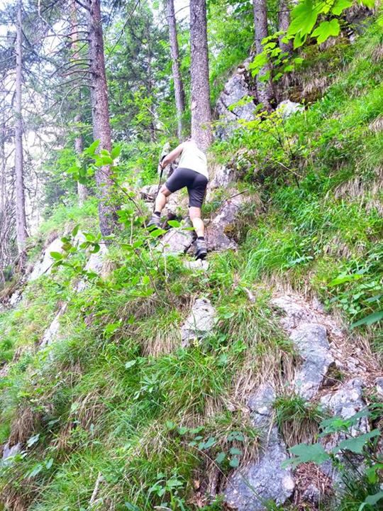 Foto: Wolfgang Lauschensky / Wandertour / Rauchkopf 1953m über Dießbachsteig / steiler und exponierter Dießbachsteig / 08.07.2025 21:24:19