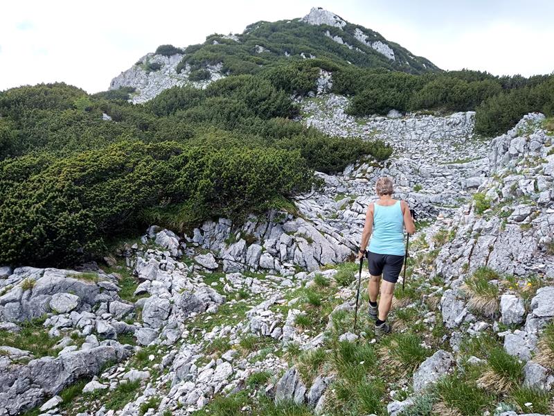 Foto: Wolfgang Lauschensky / Wandertour / Rauchkopf 1953m über Dießbachsteig / Abzweig vom Praghornsteig im Sattel rechts zum
Ostrücken des Rauchkopfs / 08.07.2025 21:23:36