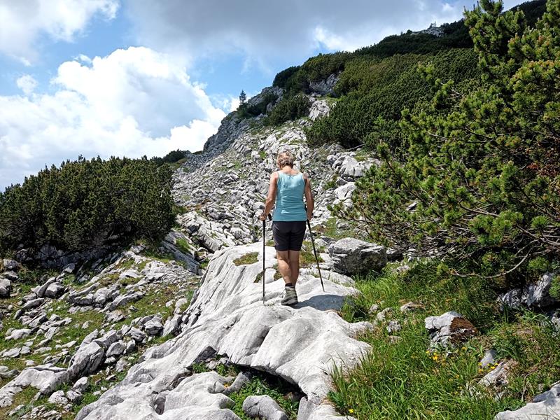 Foto: Wolfgang Lauschensky / Wandertour / Rauchkopf 1953m über Dießbachsteig / schrofige Latschengassen / 08.07.2025 21:23:32