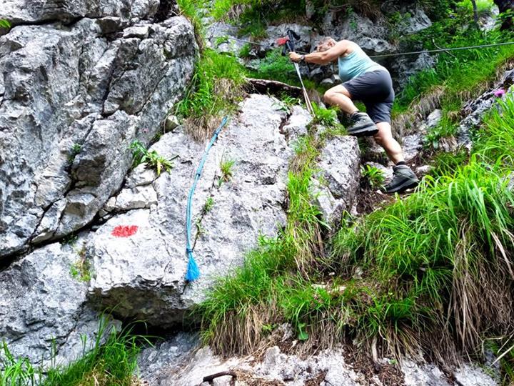 Foto: Wolfgang Lauschensky / Wandertour / Rauchkopf 1953m über Dießbachsteig / kurze Kletterstelle / 08.07.2025 21:24:12