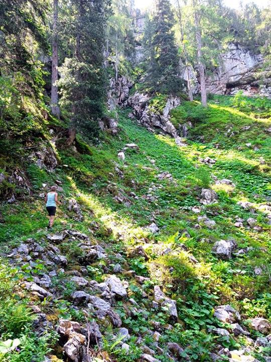Foto: Wolfgang Lauschensky / Wandertour / Rauchkopf 1953m über Dießbachsteig / Normalanstieg zum Praghorn / 08.07.2025 21:23:45