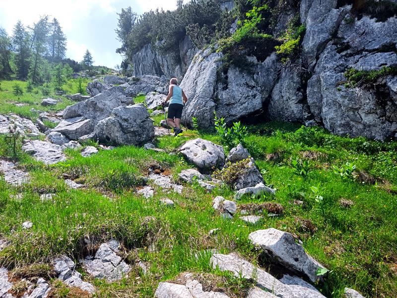 Foto: Wolfgang Lauschensky / Wandertour / Rauchkopf 1953m über Dießbachsteig / entlang des Felsbands zum Sattel zwischen Praghorn
und Rauchkopf / 08.07.2025 21:23:41