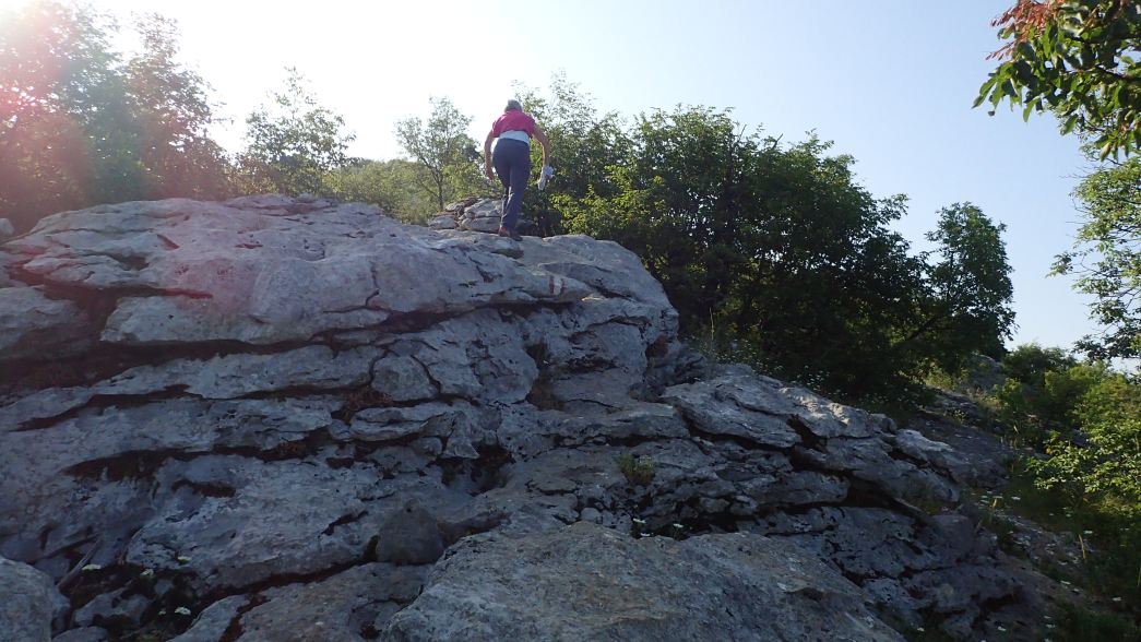 Foto: Manfred Karl / Wandertour / Auf den Zir (850 m) – Inselberg im Licko Polje / Einfachste Felsstufen / 30.07.2025 09:50:32
