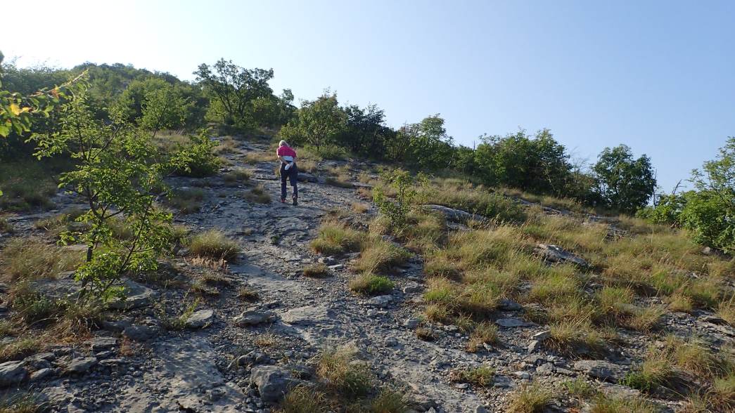 Foto: Manfred Karl / Wandertour / Auf den Zir (850 m) – Inselberg im Licko Polje / 30.07.2025 09:50:18