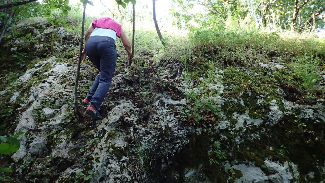 Foto: Manfred Karl / Wandertour / Auf den Zir (850 m) – Inselberg im Licko Polje / 30.07.2025 09:48:45