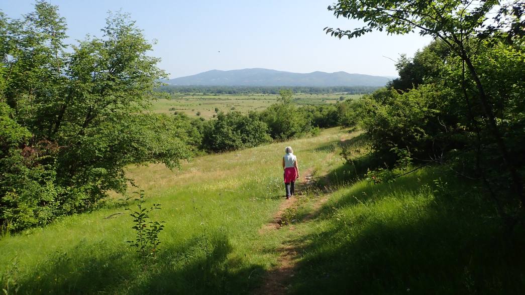 Foto: Manfred Karl / Wandertour / Auf den Zir (850 m) – Inselberg im Licko Polje / 30.07.2025 09:45:09