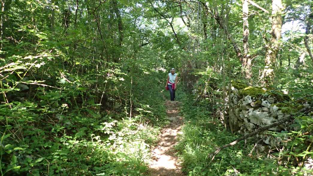 Foto: Manfred Karl / Wandertour / Auf den Zir (850 m) – Inselberg im Licko Polje / 30.07.2025 09:45:03