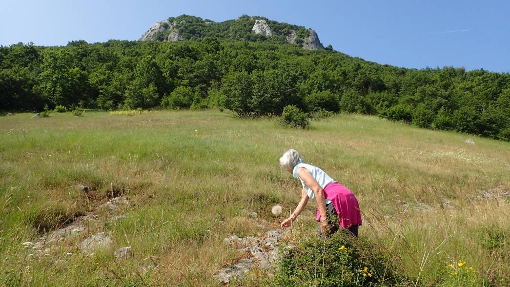 Foto: Manfred Karl / Wandertour / Auf den Zir (850 m) – Inselberg im Licko Polje / Zurück beim Ausgangspunkt / 30.07.2025 09:44:57