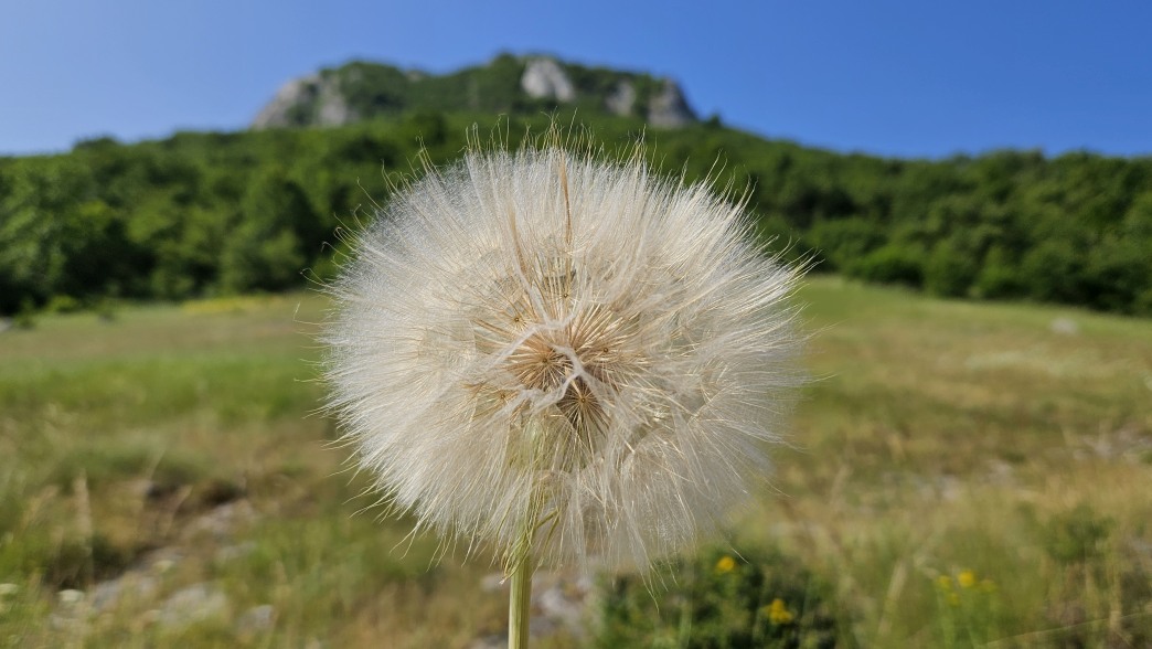 Foto: Manfred Karl / Wandertour / Auf den Zir (850 m) – Inselberg im Licko Polje / 30.07.2025 09:44:39