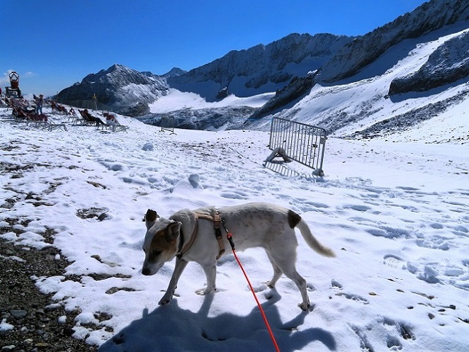 Foto: Andreas Koller / Wandertour / Top of Tyrol (3210m) / 07.08.2025 23:06:52