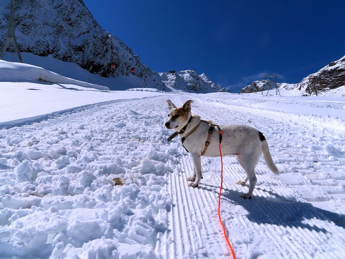 Foto: Andreas Koller / Wandertour / Top of Tyrol (3210m) / 07.08.2025 23:05:48