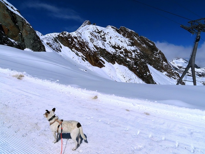 Foto: Andreas Koller / Wandertour / Top of Tyrol (3210m) / 07.08.2025 23:04:47