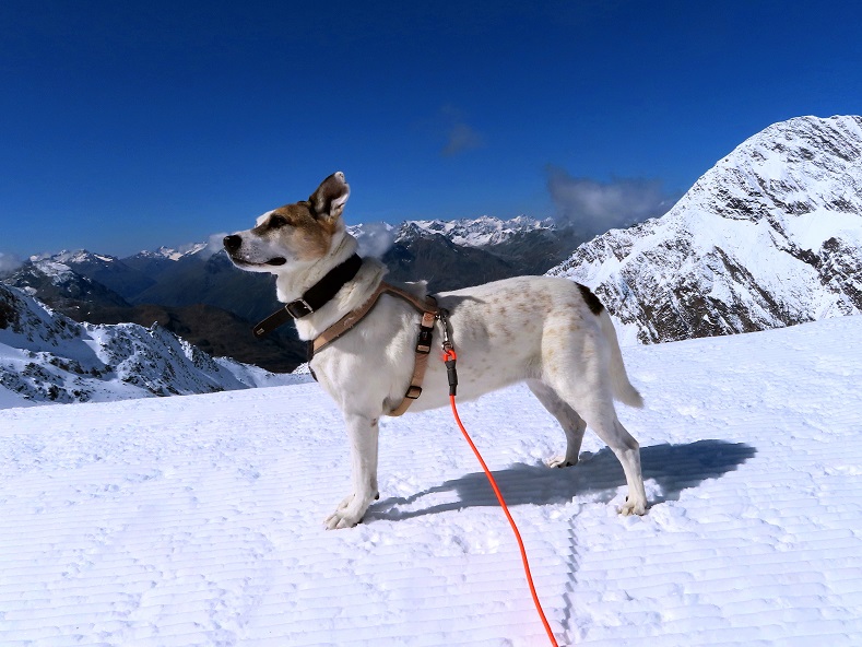 Foto: Andreas Koller / Wandertour / Top of Tyrol (3210m) / Tolles Panorama am Bildstöckljoch / 07.08.2025 23:07:45