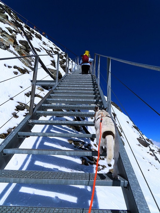 Foto: Andreas Koller / Wandertour / Top of Tyrol (3210m) / Steiganlage zur Aussichtsplattform / 07.08.2025 23:02:10