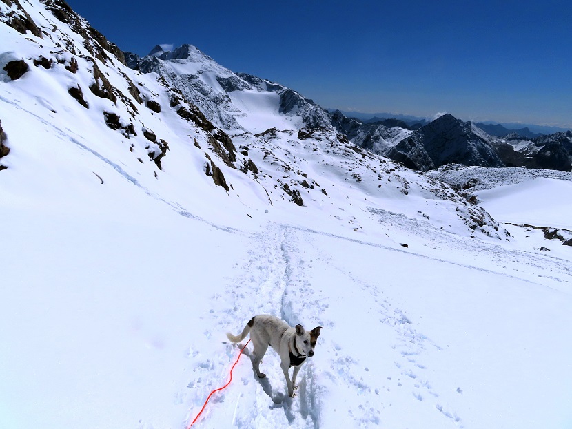 Foto: Andreas Koller / Wandertour / Top of Tyrol (3210m) / Abstieg von Top of Tyrol / 07.08.2025 22:59:08