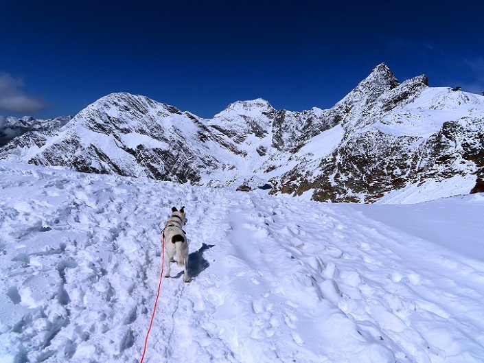 Foto: Andreas Koller / Wandertour / Top of Tyrol (3210m) / Abstieg von der Jochdohle / 07.08.2025 22:57:58