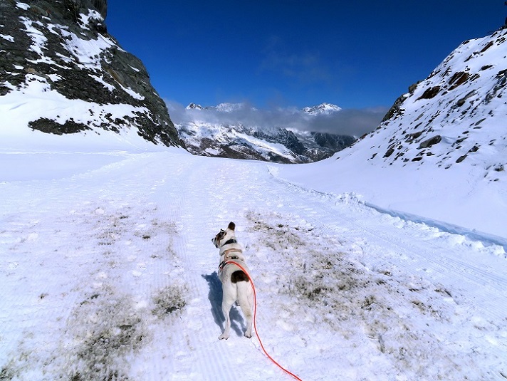 Foto: Andreas Koller / Wandertour / Top of Tyrol (3210m) / 07.08.2025 22:57:35