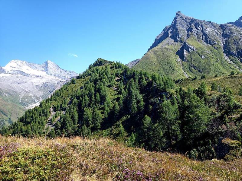 Foto: Wolfgang Lauschensky / Wandertour / Rauher Kopf und Hoher Napf / Hoher Napf vor Hohen Warte / 17.08.2025 00:24:21
