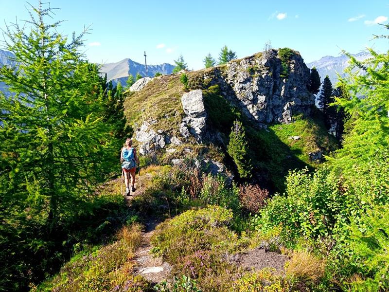 Foto: Wolfgang Lauschensky / Wandertour / Rauher Kopf und Hoher Napf / Gratverbindung Rauher Kopf - Hoher Napf / 17.08.2025 00:24:08