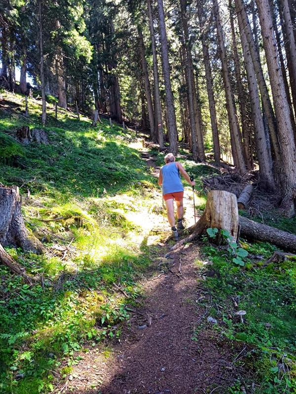 Foto: Wolfgang Lauschensky / Wandertour / Rauher Kopf und Hoher Napf / Waldpfad / 17.08.2025 00:24:49