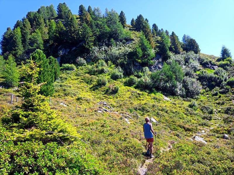 Foto: Wolfgang Lauschensky / Wandertour / Rauher Kopf und Hoher Napf / Rauher Kopf Nordflanke / 17.08.2025 00:24:44