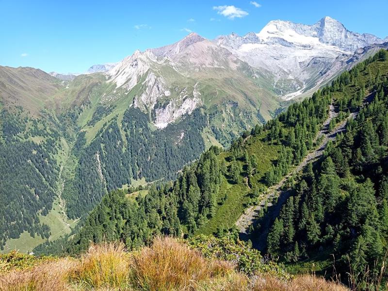 Foto: Wolfgang Lauschensky / Wandertour / Rauher Kopf und Hoher Napf / Schöberspitzen, Kleiner Kaserer, Olperer und
Fußstein / 17.08.2025 00:24:25