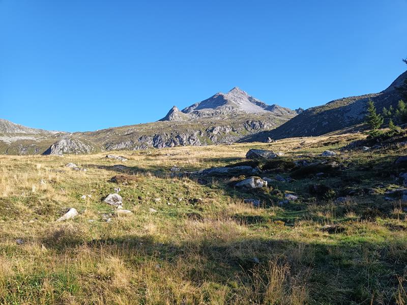 Foto: Wolfgang Lauschensky / Wandertour / Rauchkofel 3251m von Prettau / Rauchkofel / 31.08.2025 01:09:29
