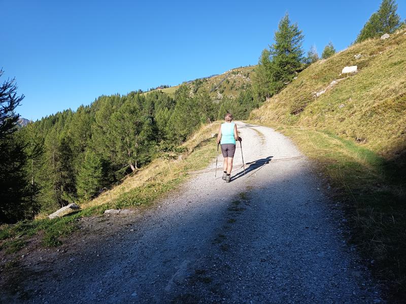Foto: Wolfgang Lauschensky / Wandertour / Rauchkofel 3251m von Prettau / Güterweg zur Waldneralm / 31.08.2025 01:09:19