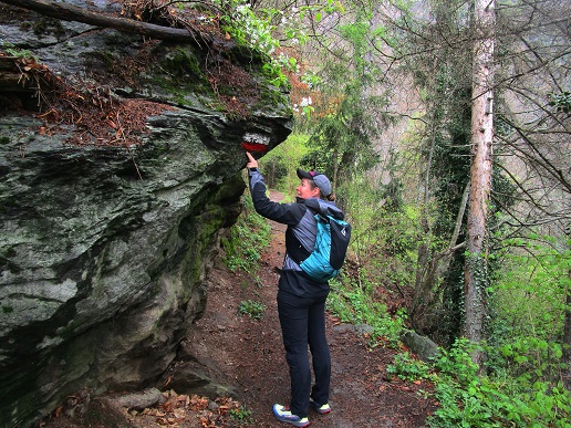 Foto: Andreas Koller / Klettersteigtour / Vellauer Felsenweg (1362m) / 03.09.2025 02:04:44