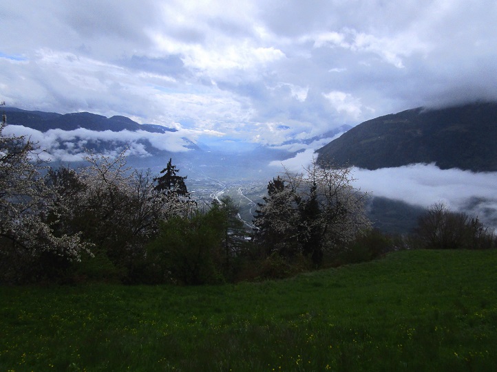 Foto: Andreas Koller / Klettersteigtour / Vellauer Felsenweg (1362m) / 03.09.2025 02:04:31