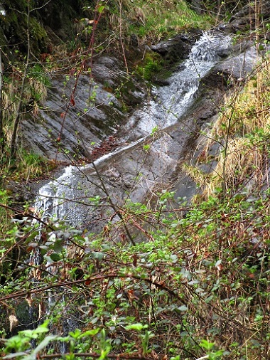 Foto: Andreas Koller / Klettersteigtour / Vellauer Felsenweg (1362m) / 03.09.2025 02:03:35