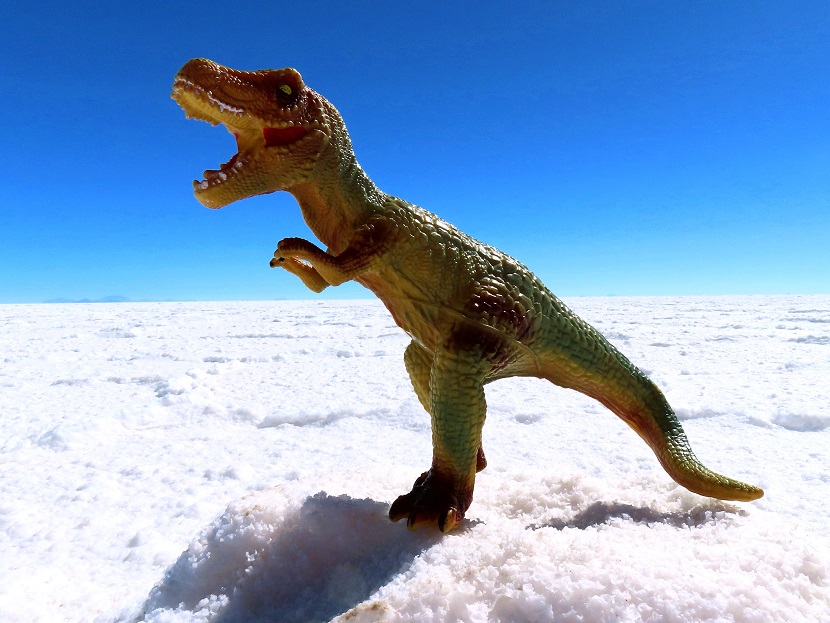 Foto: Andreas Koller / Wandertour / Salar de Uyuni (3650m) / Die Salar de Uyuni eignet sich gut für Fotoexperimente / 24.10.2025 00:34:45