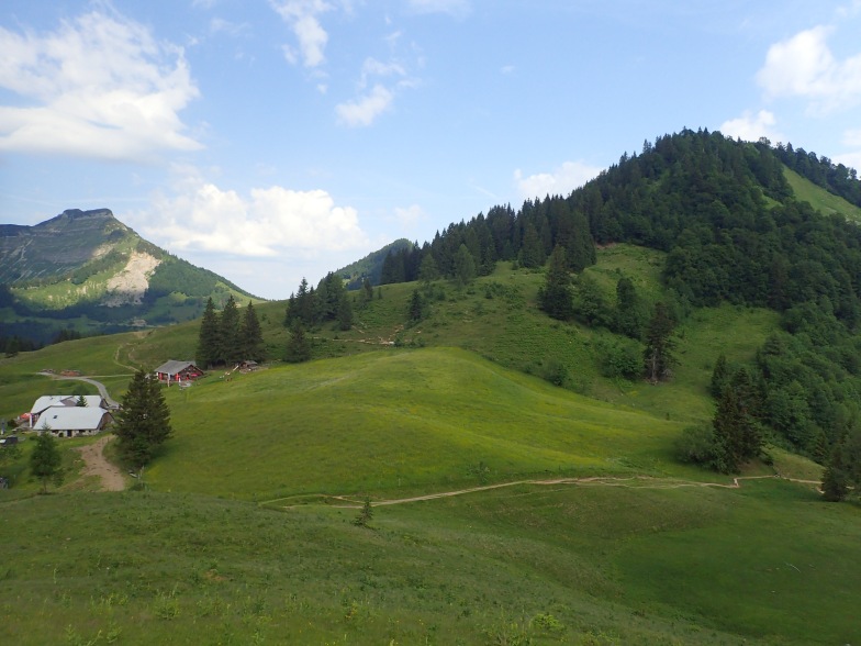 Foto: Manfred Karl / Wandertour / Aus der Taugl auf Regenspitz und Bergköpfl / Bergalm und Bergköpfl / 30.10.2025 20:33:07