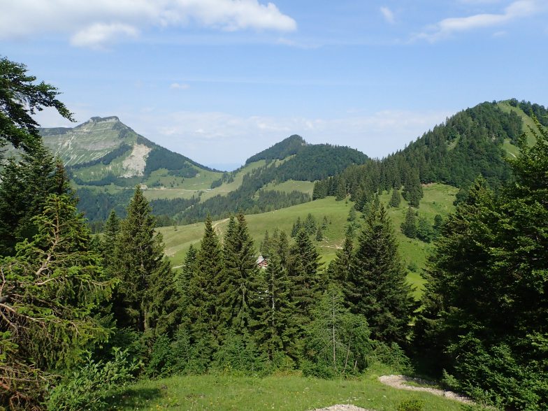 Foto: Manfred Karl / Wandertour / Aus der Taugl auf Regenspitz und Bergköpfl / Oberhalb der Bergalm / 30.10.2025 20:29:21