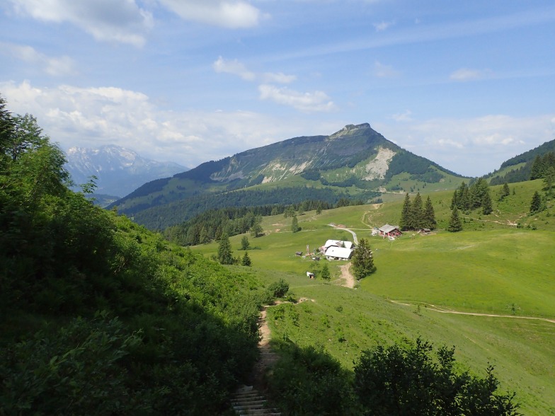 Foto: Manfred Karl / Wandertour / Aus der Taugl auf Regenspitz und Bergköpfl / Bergalm / 30.10.2025 20:28:57
