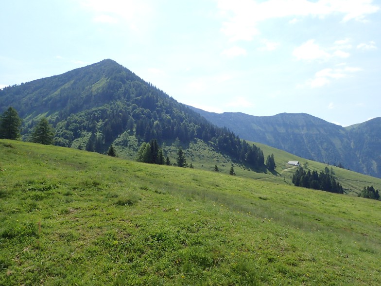 Foto: Manfred Karl / Wandertour / Aus der Taugl auf Regenspitz und Bergköpfl / Regenspitz und Storchenalm / 30.10.2025 20:28:42