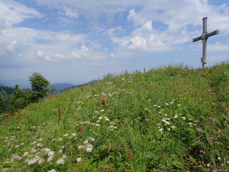 Foto: Manfred Karl / Wandertour / Aus der Taugl auf Regenspitz und Bergköpfl / Bergköpfl / 30.10.2025 20:27:59