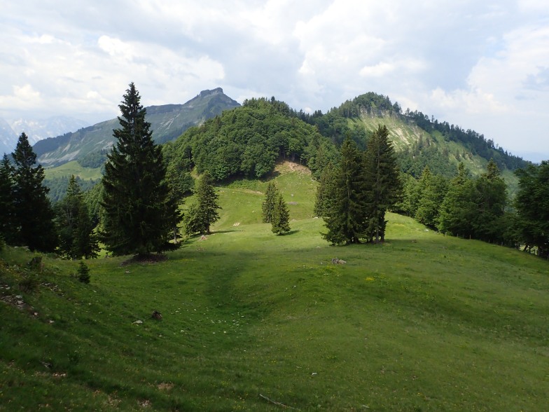 Foto: Manfred Karl / Wandertour / Aus der Taugl auf Regenspitz und Bergköpfl / Schmittenstein - Sattelköpfl / 30.10.2025 20:26:37