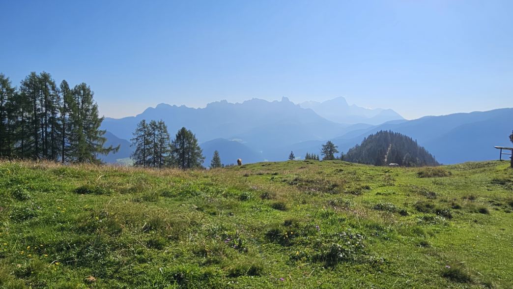 Foto: Manfred Karl / Wandertour / Über die Karalm auf die Koreinhöhe (1845 m) / Ausblick zum Dachsteinmassiv / 01.11.2025 18:58:46