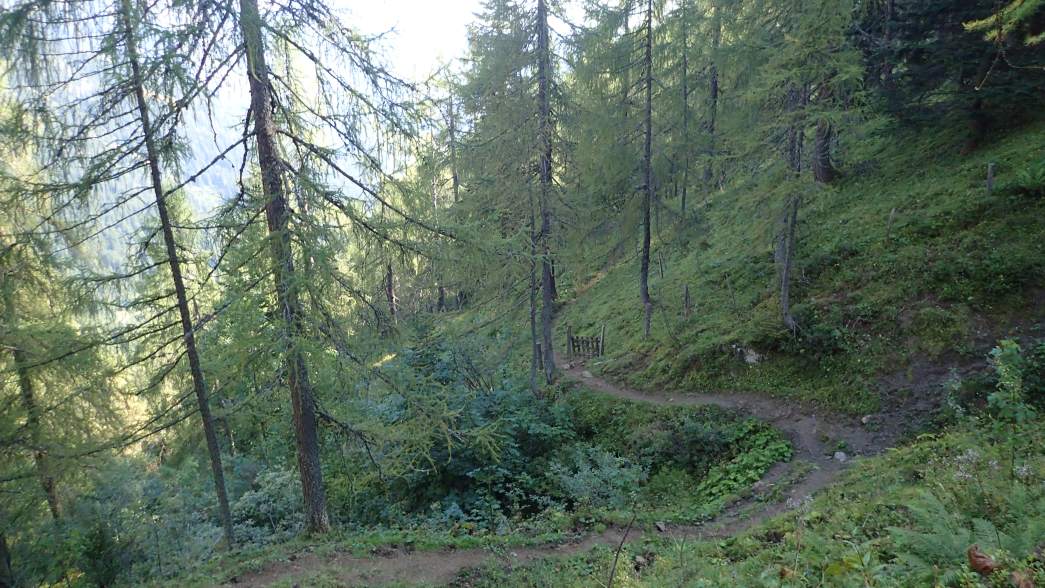 Foto: Manfred Karl / Wandertour / Über die Karalm auf die Koreinhöhe (1845 m) / Am Weg zur Koreinalm / 01.11.2025 18:56:41