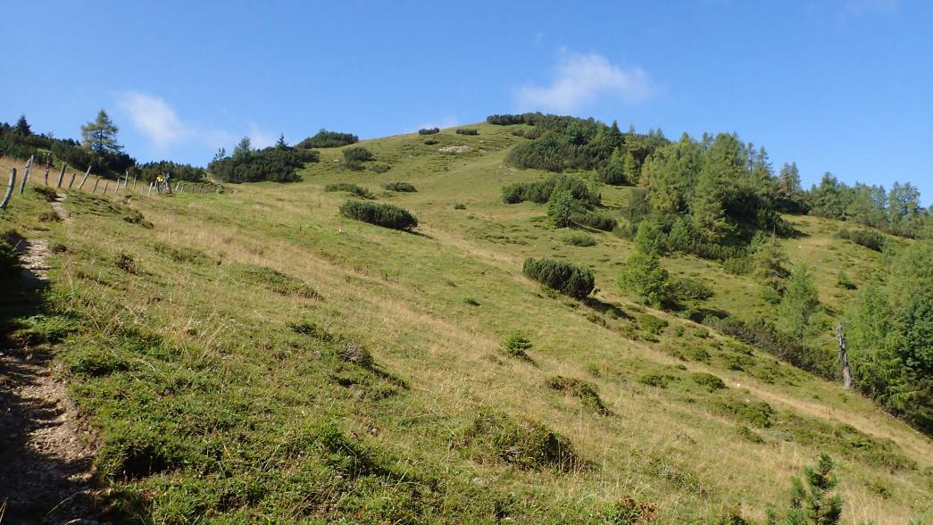 Foto: Manfred Karl / Wandertour / Über die Karalm auf die Koreinhöhe (1845 m) / Die Wiese unter der Koreinhöhe / 01.11.2025 18:55:13