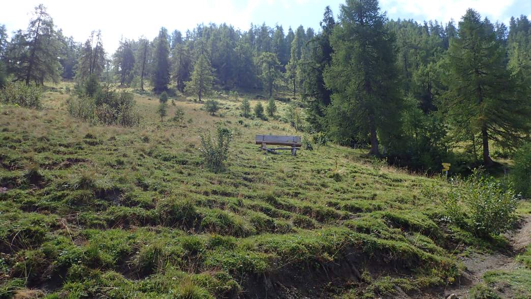 Foto: Manfred Karl / Wandertour / Über die Karalm auf die Koreinhöhe (1845 m) / Bei der Koreinalm / 01.11.2025 18:50:35