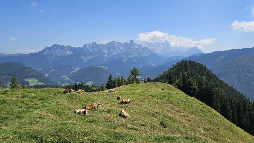 Foto: Manfred Karl / Wandertour / Über die Karalm auf die Koreinhöhe (1845 m) / Am Karalmriedel / 01.11.2025 18:48:47