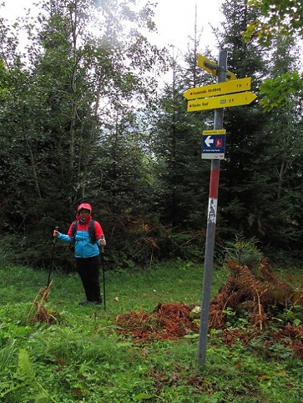 Foto: Andreas Koller / Wandertour / Rauer Kopf über dem Brixental (1580m) / 08.11.2025 18:29:08