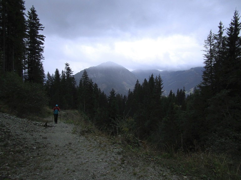 Foto: Andreas Koller / Wandertour / Rauer Kopf über dem Brixental (1580m) / 08.11.2025 18:29:03