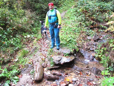 Foto: Andreas Koller / Wandertour / Rauer Kopf über dem Brixental (1580m) / 08.11.2025 18:28:54